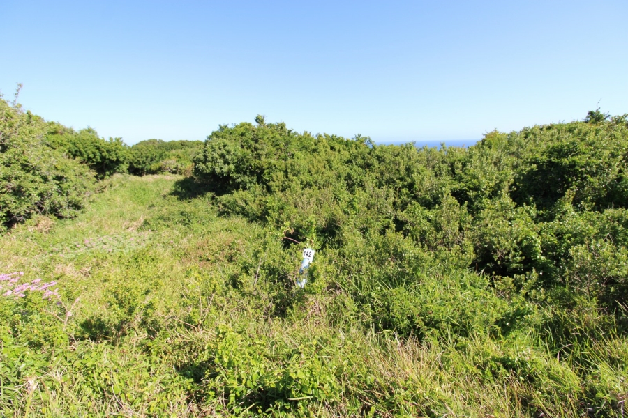 0 Bedroom Property for Sale in Eersterivierstrand Eastern Cape